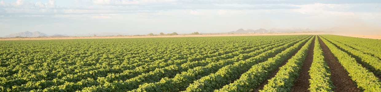  Los logros del campo son mejores con un tractor John Deere