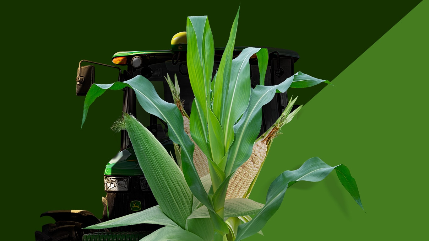 Planta de maíz con dos mazorcas, sobre un tracto 6803 de frente en un fondo color verde oscuro John Deere.