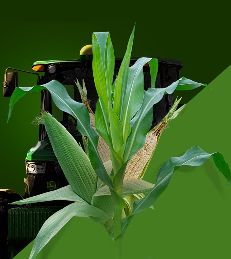 Imagen representativa de Temporada Verde, una planta de maíz con los textos del nombre de la promoción.