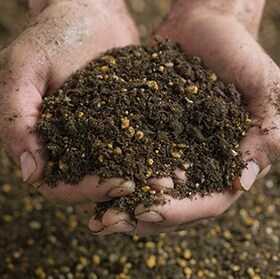 Los sustratos agrícolas y sus propiedades