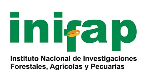 Logotipo IFIFAP (Instituto Nacional de Investigaciones Forestales, Agrícolas y Pecuarias)