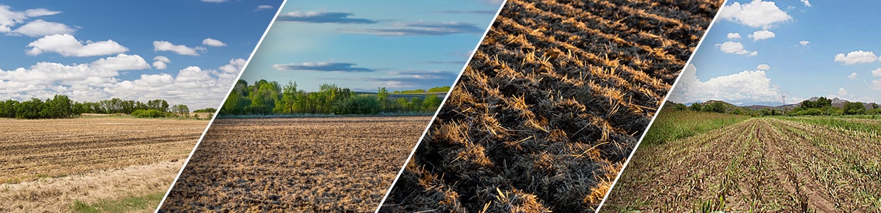 Plantaciones