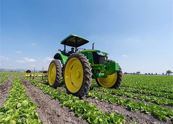Tractor John Deere trabajando entre hileras de cultivo en un campo abierto bajo cielo despejado.