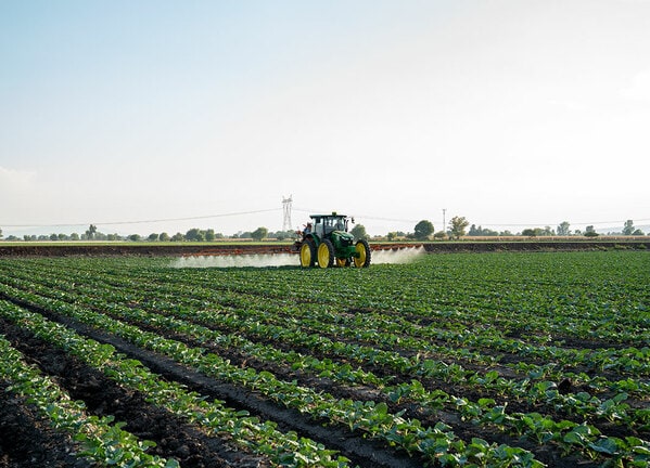 Tractor aplicando insumos en un cultivo, avanzando entre hileras en un campo abierto al atardecer.
