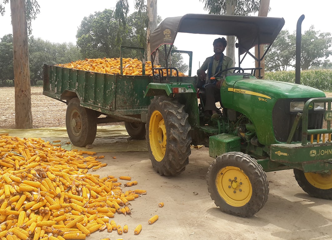 Tractor 5036C siendo operado.