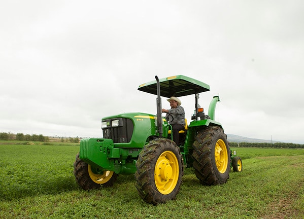 Tractor 5055E en el campo.